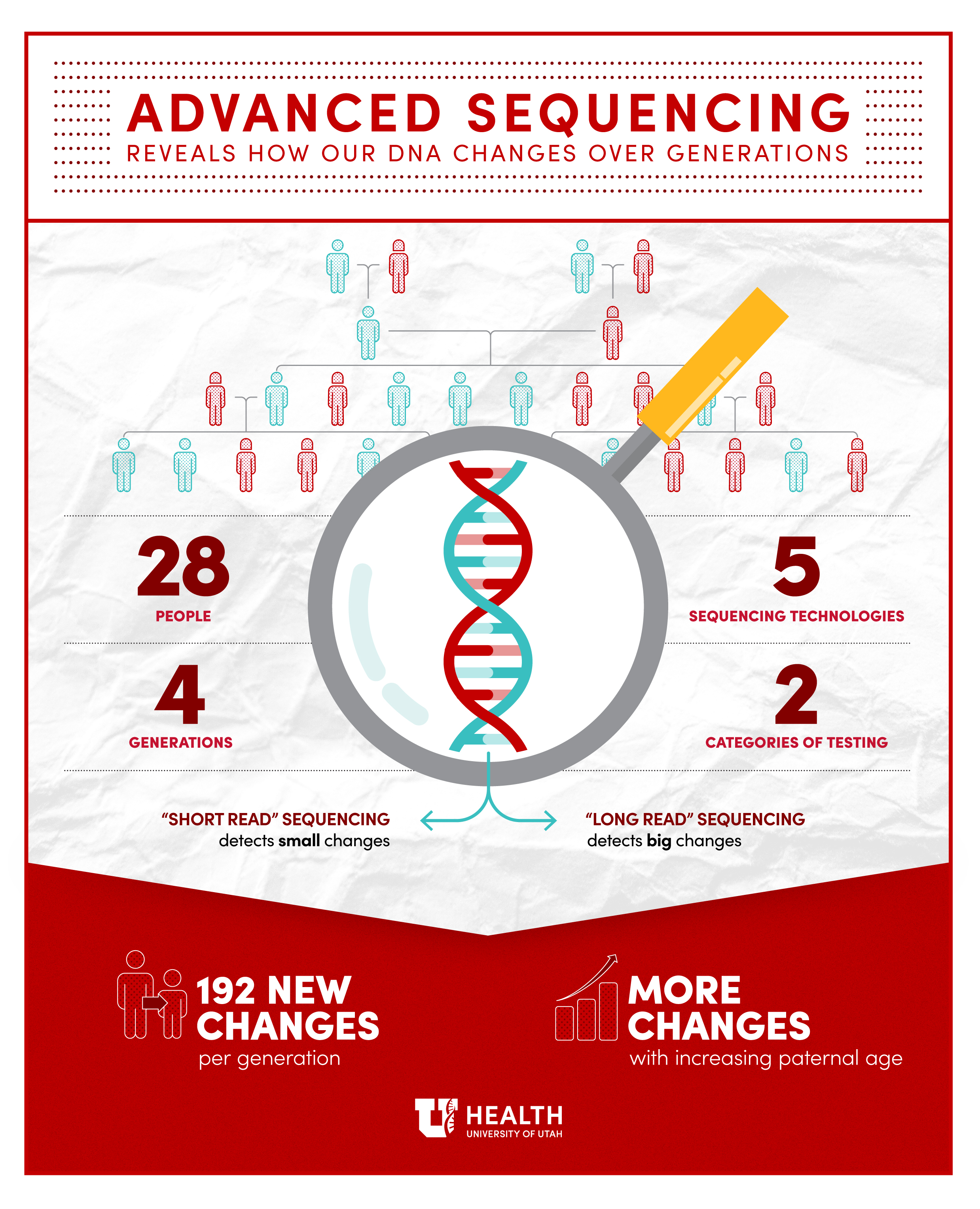 Graphic titled: Advanced sequencing reveals how our DNA changes over generations. A magnifying glass zooms into a family tree to display a DNA helix. Beside it reads: 28 people, 4 generations, 5 sequencing technologies, 2 categories of testing. Arrows from the magnifying glass lead to text: short read sequencing detects small changes, long read sequencing detects big changes. Below are takeaways: 192 new changes per generation, more changes with increasing paternal age.